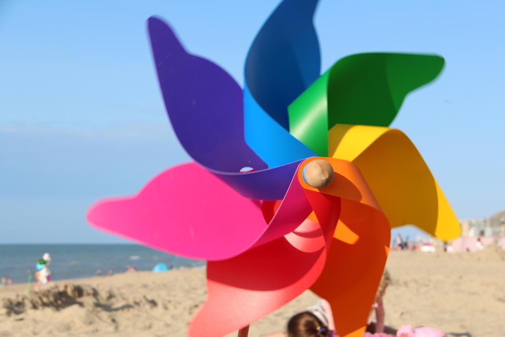 La Plage デ パンネ 部屋 写真